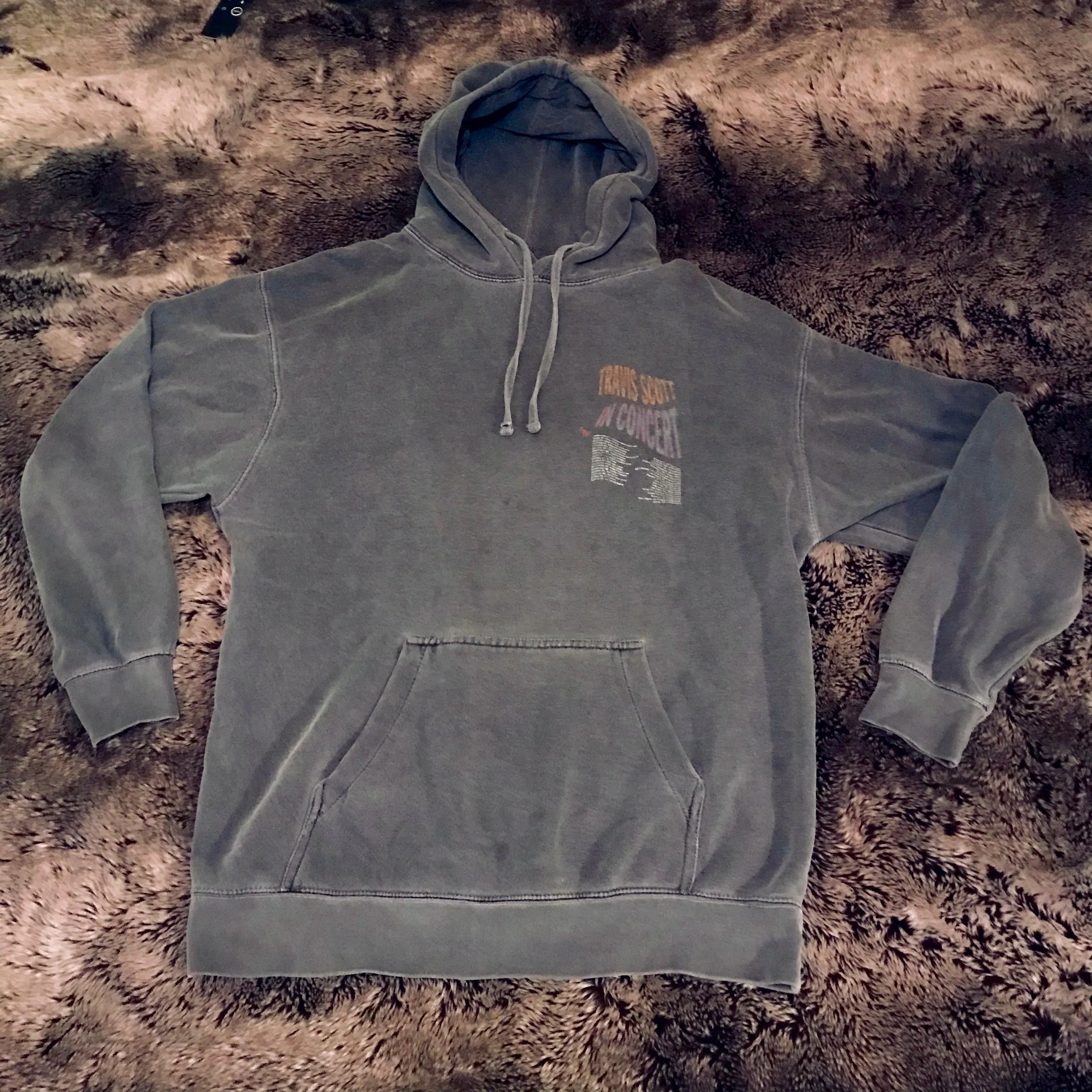 2016 Anti-Tour Rodeo Hoodie (Grey)